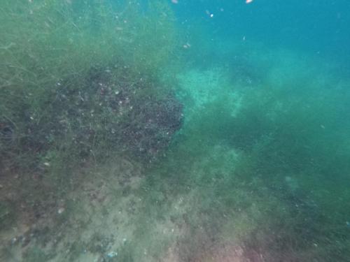 DCIM100GOPROGOPR6069.JPG