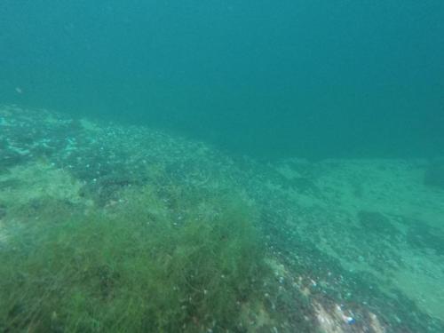 DCIM100GOPROGOPR6070.JPG