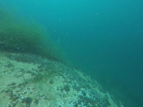 DCIM100GOPROGOPR6071.JPG