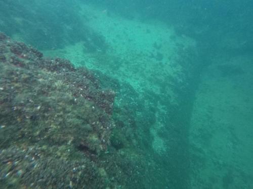 DCIM100GOPROGOPR6072.JPG
