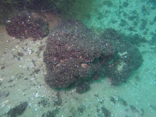 DCIM100GOPROGOPR6075.JPG
