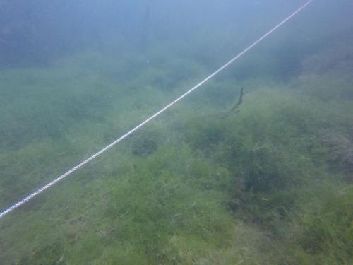 DCIM100GOPROGOPR6087.JPG