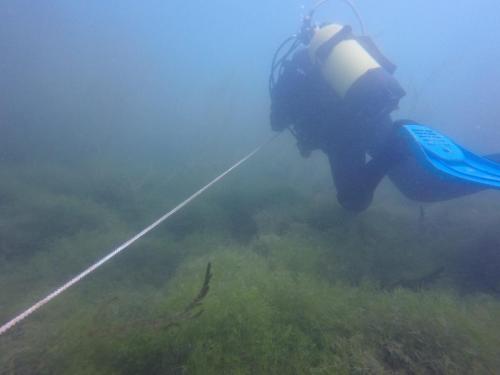 DCIM100GOPROGOPR6088.JPG