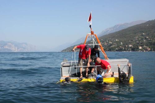 img 4958